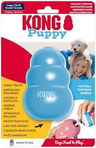 KONG Puppy