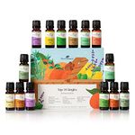 Plant Therapy Top 14 Essential Oil Set, Includes 100% Pure, Undiluted, Therapeutic Grade Oils 10 mL each