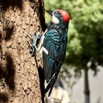 Metal Woodpecker Bird Figurine - Beautiful Backyard & Garden Gift, Birds Statue Sculpture Art Large Realistic - Outdoor Spring, Summer Metal Yard Art for Lawn Ornament Decoration Ornament Decor 7" H