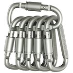 Locking Carabiner For Swing