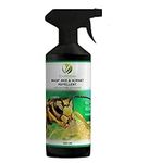 EcoWidow Wasp Bee Hornet Repellent Spray 500ML - Natural, Vegan-Friendly, Eco-Safe - Effective Indoor & Outdoor Anti-Wasp & Bee Solution - Safe Alternative to Wasp Nest Killer