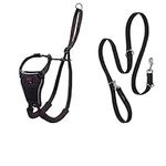 HALTI No Pull Harness Size Medium &