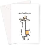 Muchas Gracias Greeting Card | Span