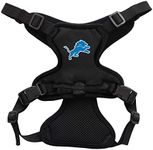 Littlearth Detroit Lions NFL Front 