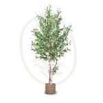 Maia Shop Artificial Olive Tree, 150 cm for Home and Office Decoration. Hyper-realistic Decorative Artificial Plant with Natural Trunk