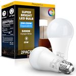 200-250 Watt Equivalent LED Light Bulb, A21 Super Bright LED Light Bulbs 25W, High Output 2800 Lumens, E26 Daylight White 5000K for Home, Office, Store, Garage, Warehouse, Garden, 2-Pack