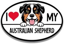 Magnet Me Up Australian Shepherd Dog Breed Car Magnet Decal, 4x6 inches, Cute Peeking Dog Car Accessories, Magnetic Vinyl for Car, Truck, Express Affection for Aussie Lover, Made in USA