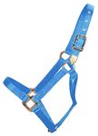 Hamilton 1-Inch Nylon Horse Halter, 800/1100-Pound, Berry Blue