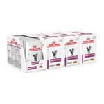 ROYAL CANIN Renal Veterinary Health Nutrition Cat Food Wet Chicken 48 x 85g pouches