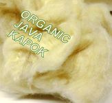 PURE ORGANIC KAPOK 1 KILO, for STUFFING ZAFUS,TEDDIES,SOFT TOYS,SAFE FOR CHILDRENS,PILLOWS,FILL CUSHION COVERS,SOFT,WARM,ECOLOGICAL,COMFORT. Passed EN71-3 (Kids Toys Certificate)