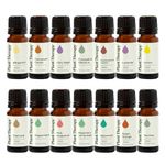 Plant Therapy Top 14 Essential Oil Set, Includes 100% Pure, Undiluted, Therapeutic Grade Oils 10 mL each