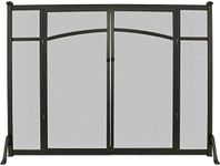 Flat Panel Fireplace Screen with Doors