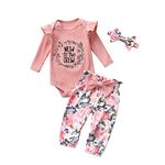 Fupality Newborn Baby Girl Clothes Sets Long Sleeve Ruffle Top Floral Printed Pants with Headband Outfits Set Pink (0-3 Months)