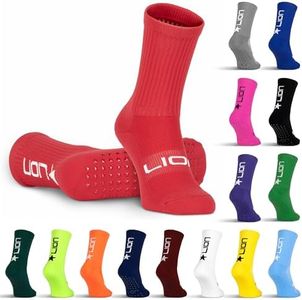 LION SPORT