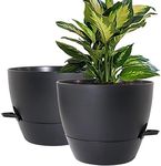 WOUSIWER 10 inch Self Watering Plan