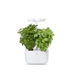 VERITABLE EXKY Classic Indoor Garden for Fresh Herbs and Vegetables, Arctic White