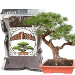 Bonsai Soil Mix 4L Ready to Use, Organic Bonsai Tree Soil Fits for Small Bonsai Pot, Suitable for Bonsai Seedling, Repotting, or Bonsai Starter Kit