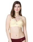 VSTAR Queen U Back Non-Wired Non-Padded Cotton Regular Bra for Women with Round Stitching Seamed Cups Skin