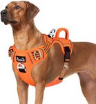 Running Vest For Dogs