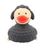 Lilalu 2115 Black Sheep Rubber Duck, Various