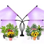 Led Grow Lamps