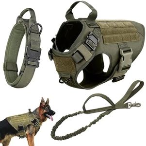 Tactical D