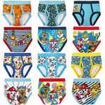Paw Patrol Boys' Underwear Multipacks Briefs, Paw Tb 12pk_Box, 2-3 Years
