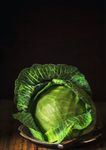 Gebdinsh Garden® Imported Cabbage Vegetables Seeds For Kitchen Gardening (Pack Of 2 Gram Seeds)