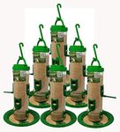 Amijivdaya Large Bird Feeder (Green, Transparent) - Pack of 6