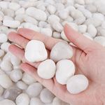 ICEBLUEOR 2.2lb Decorative White Stones, Natural Polished River Rocks Gravel, White Pebbles for Garden, Aquarium,Fish Tank,Pond,Plant Pots,Vase Fillers,Landscaping (2-3 cm)