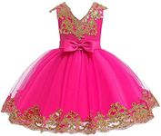 Flower Girl Dress Toddler Kids Baby