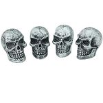 Abfer Skull Valve Stem Cap Car Wheel Tire Tire Caps Decorative Accessories Fit Most Vehicle Truck Motorcycles Bikes, Silver