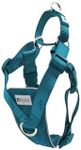 RC Pets Tempo No Pull Dog Harness, Small, Heather Teal