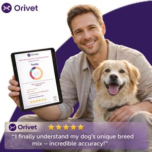 ORIVET GenoPet Plus Dog DNA Test – Breed & Health Screening Kit