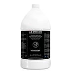 Eccotemp System Descaler Solution - 1 Gal