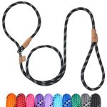 Petarea 5 FT Slip Lead Dog Leash, Heavy Duty Rope Leash for Small Medium Large Dogs, No Pull Training Lead with Reflective Thread, Strong Comfortable Loop Leash (Black Stripe, Medium(3/8"))