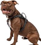 Premier Pet No Pull Comfort Dog Harness - Medium, Adjustable Fit for Dogs 30-70 lbs, Reduce Pulling on Walks, Reflective Stitching, Padded Handle for Extra Control, Front Leash Attachment