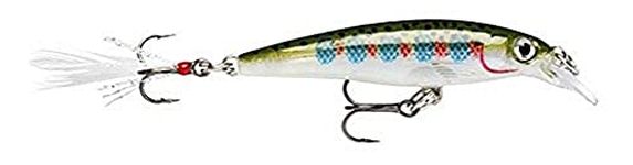 Rapala X-Rap Jerkbait 08 Fishing Lure (Rainbow Trout, Size- 3.125)