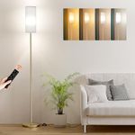 Ambimall Floor Lamp with Remote Control- Dimmable Standing Tall Lamp, Floor Lamps for Living Room, Bedrooms, Stepless Adjustable 3000K-6000K Colors, 10-100% Brightness, Foot Switch(Gold)