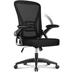 naspaluro Office Chair Ergonomic Desk with 90° Flip-up Armrest Lumbar Support, Height Adjustable Chair, Executive Swivel Computer Padded Seat Cushion for Home/Office