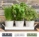 CKB LTD Set of 3 Metal Herb Plant Pots with Drip Tray Traditional Indoor Windowsill Coloured Planter Box for The Kitchen Grow Your Own Herbs for Cooking (Chalk White)