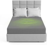 The Grounding Co. Fitted Terra Grou