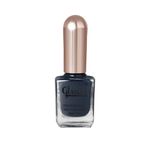 Glam21 Professional Nail Polish/Nail Color -12 ml| Long Lasting | Quick Drying | Glossy Finish | Night Life -04