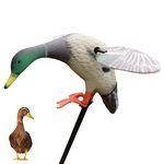 Motion Duck Decoys, Wing Motion Duck Decoy, Duck Hunting Gear, Remote Controller Electric Duck Decoy Battery Powered for Quick Duck Hunting, Not Included Battery