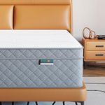 PurrJoys Firm Queen Mattress, 12 In