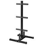 Yaheetech 2in Weight Plate Rack Tre
