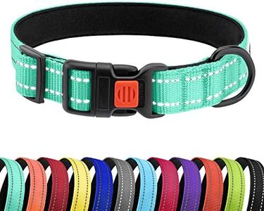 CollarDirect Reflective Dog Collar for a Small, Medium, Large Dog or Puppy with a Quick Release Buckle (Mint Green, 12-16 Inch)