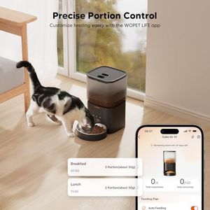 example product