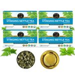 TEACURRY Stinging Nettle Tea (4 Months Pack, 120 Tea Bags) - Helps with Blood Sugar, Blood Purify, Kidney Detox - Nettle Tea Bags