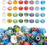 PH PandaHall 100pcs Lampwork Glass 